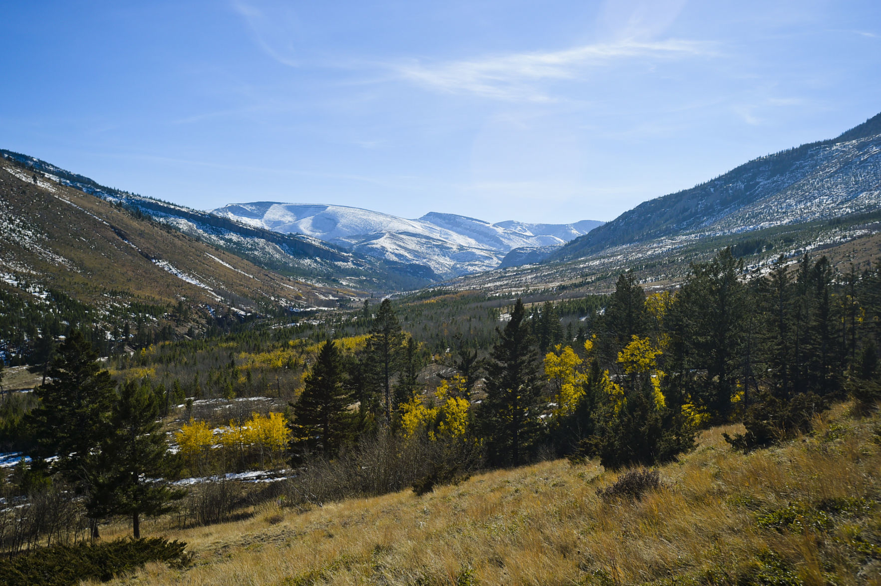 The Falls Creek drainage